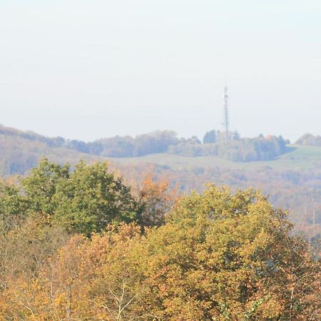 Fewo Im Naturpark Spiegelberg Extérieur photo