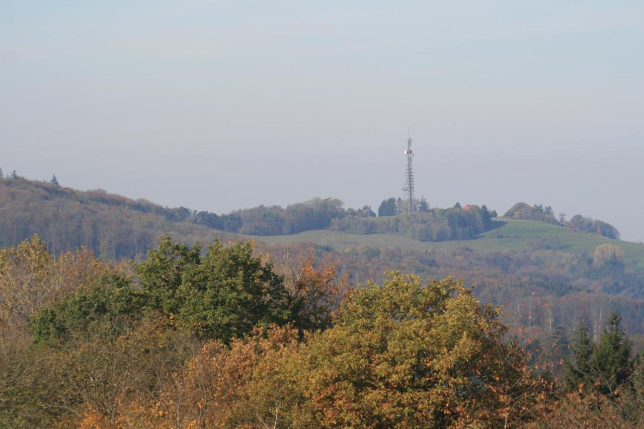 Fewo Im Naturpark Spiegelberg Extérieur photo